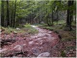 Javorje - Planina Poljana